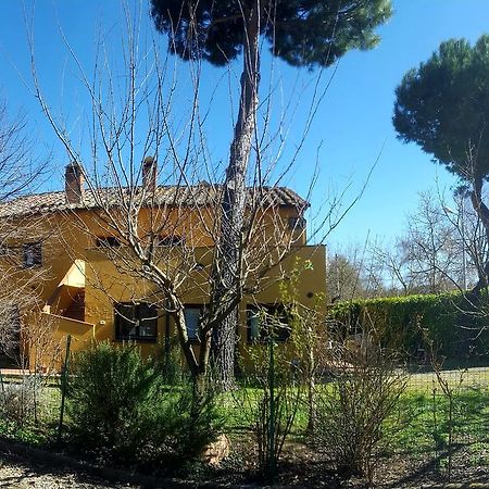 Agriturismo La Cella Villa Arezzo Dış mekan fotoğraf