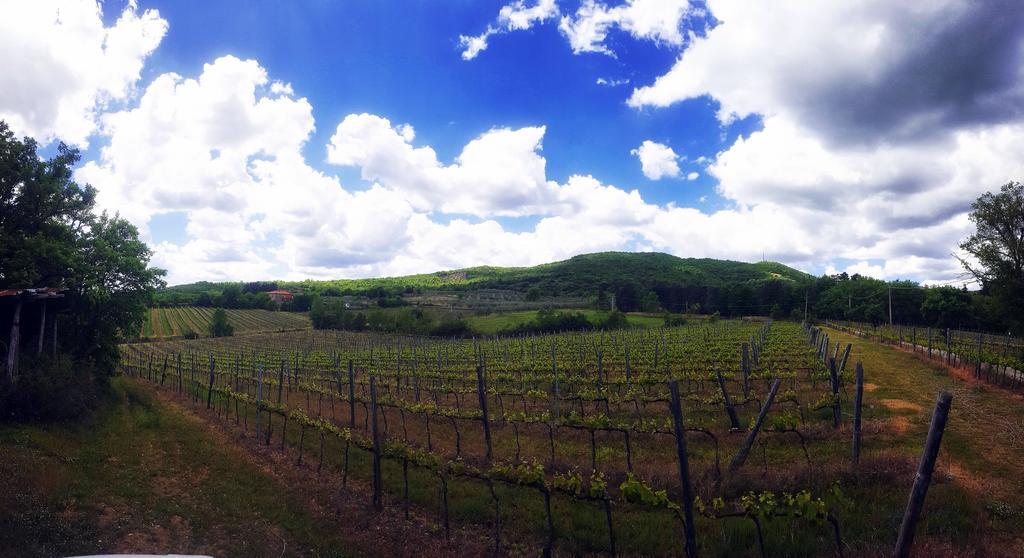 Agriturismo La Cella Villa Arezzo Dış mekan fotoğraf