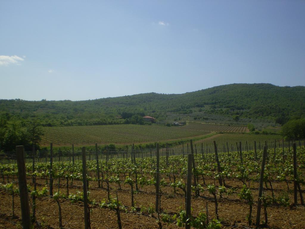 Agriturismo La Cella Villa Arezzo Dış mekan fotoğraf